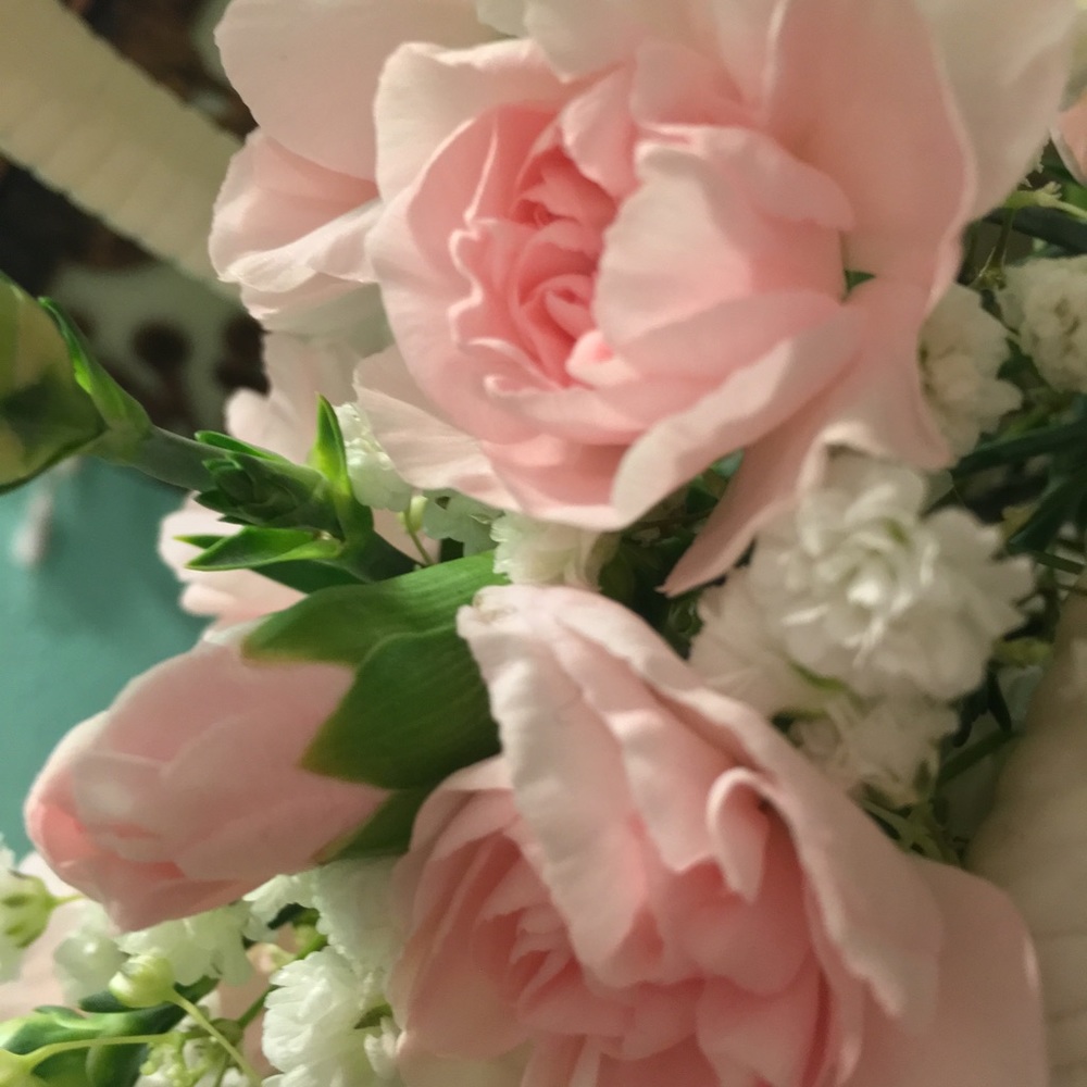 Meet your Posher, Brooklyn